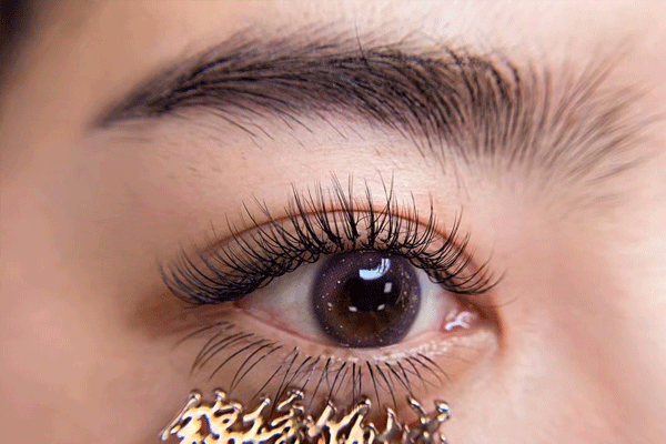 1623054154211691.gif 未標題-2.gif